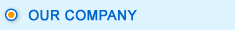 Our Company